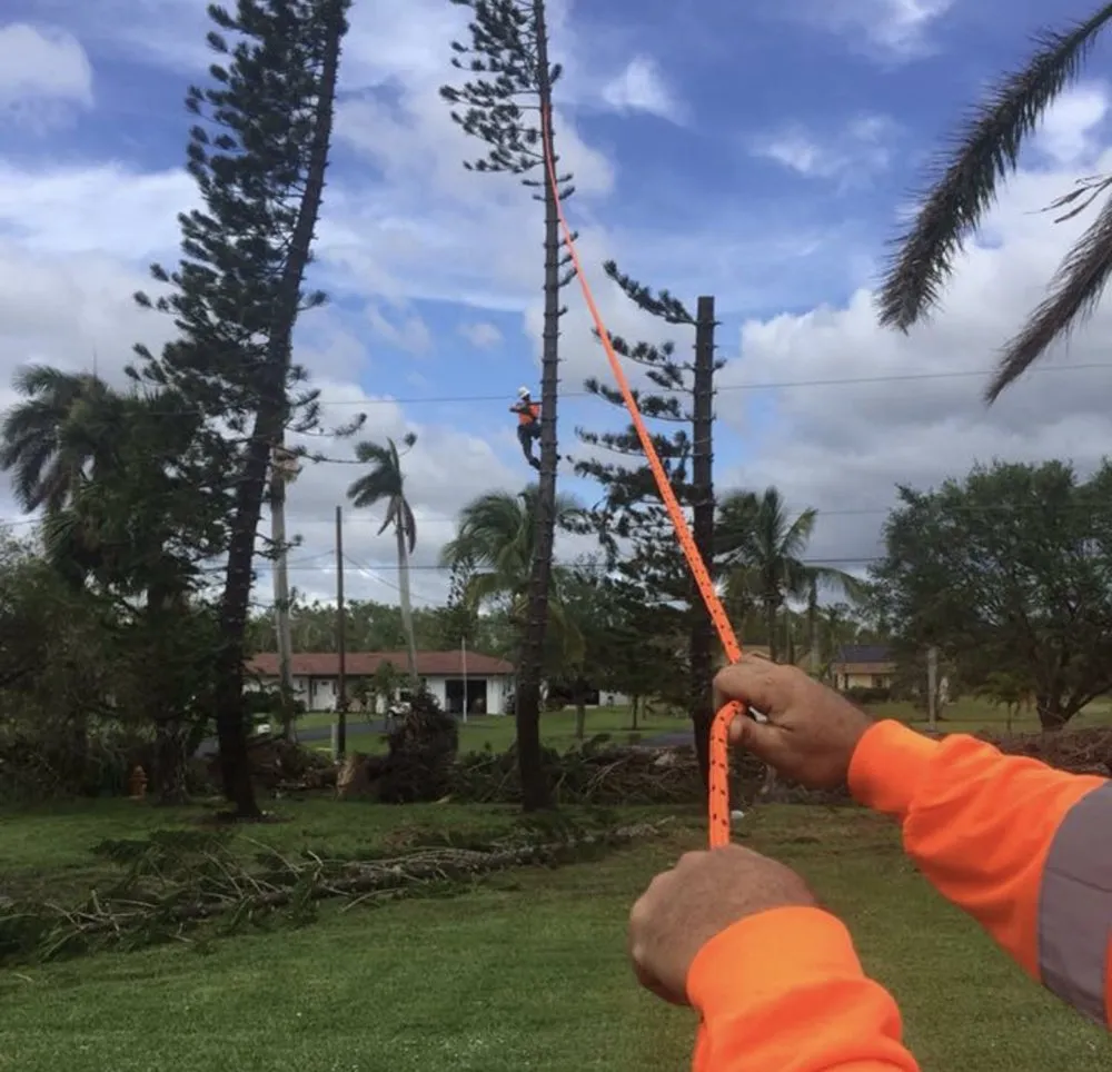 Reliable outdoor landscaping for outdoor upgrades across Naples, FL - Naples Elite Bobcat and Landscape