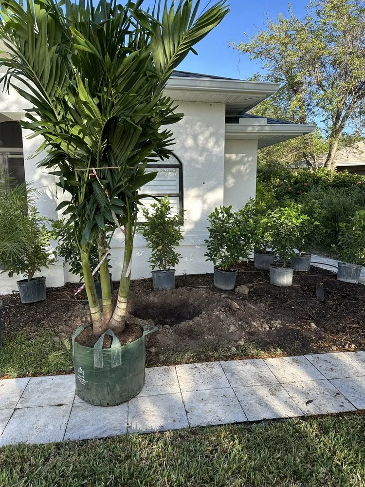 Trusted landscaping services in Naples, FL by Naples Green Garden