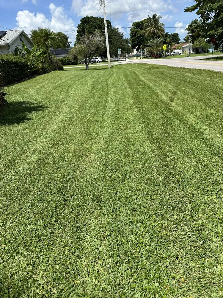 Professional residential landscaping for homes across Naples, FL - Naples Green Garden