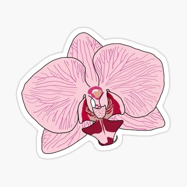 Custom outdoor landscaping in Naples, FL by Naples Green Garden