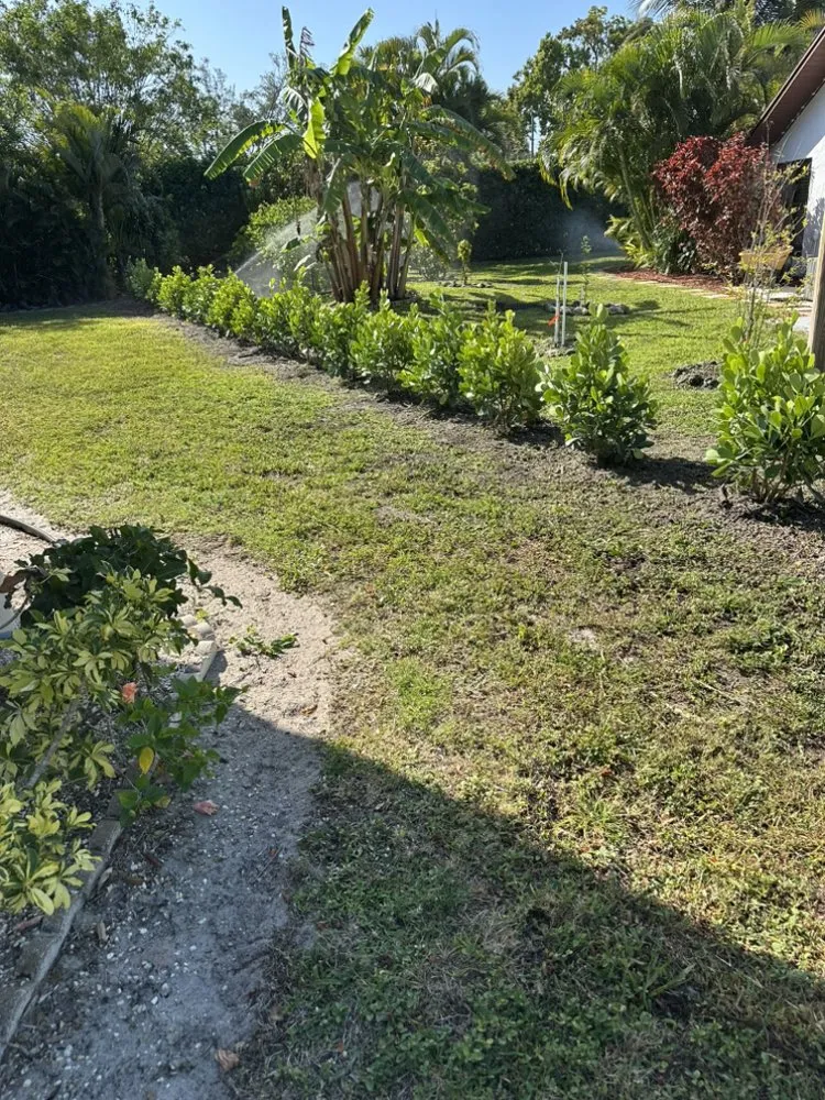 Top-rated residential landscaping for residential properties across Naples, FL - Naples Green Garden