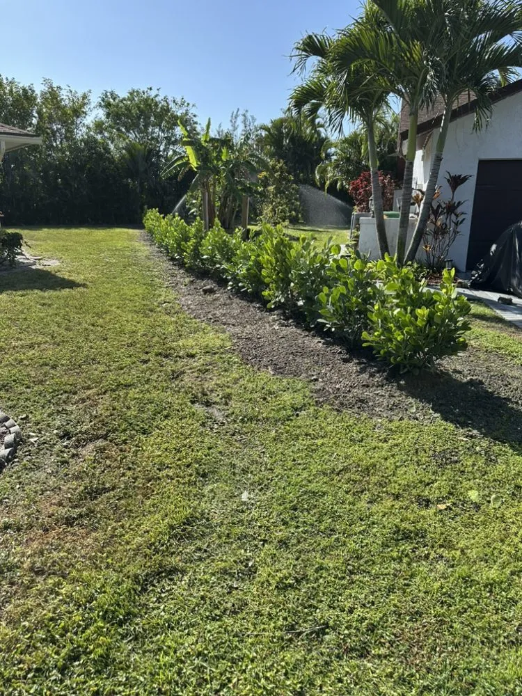 Custom lawn mowing service in Naples, FL by Naples Green Garden