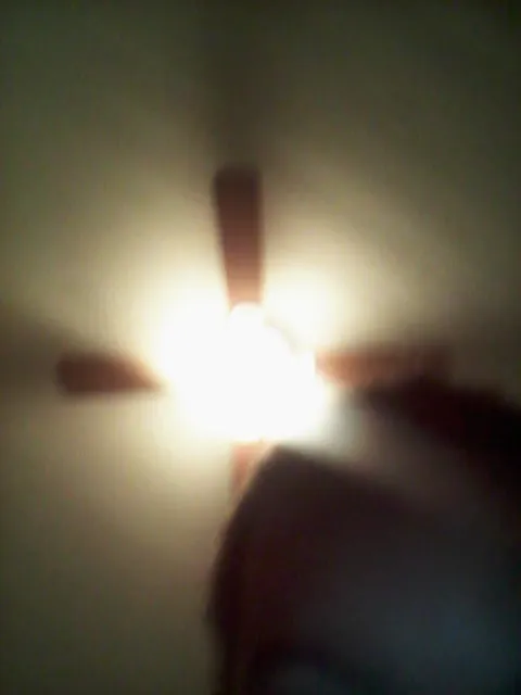 Reliable landscape installation with custom design across West Palm Beach, FL - Napo Home Services