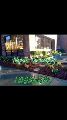 Napoles Landscaping Services Logo