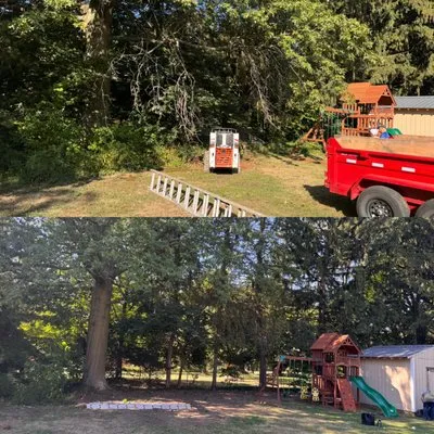 Nappi Lawn & Landscape Logo