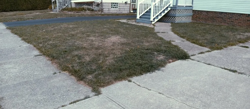 Expert residential landscaping for year-round maintenance across Cleveland, OH - Nappier and Sons Lawncare