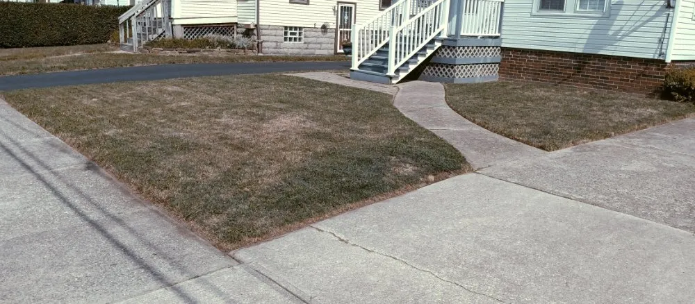 Expert yard maintenance experts serving Cleveland, OH - Nappier and Sons Lawncare