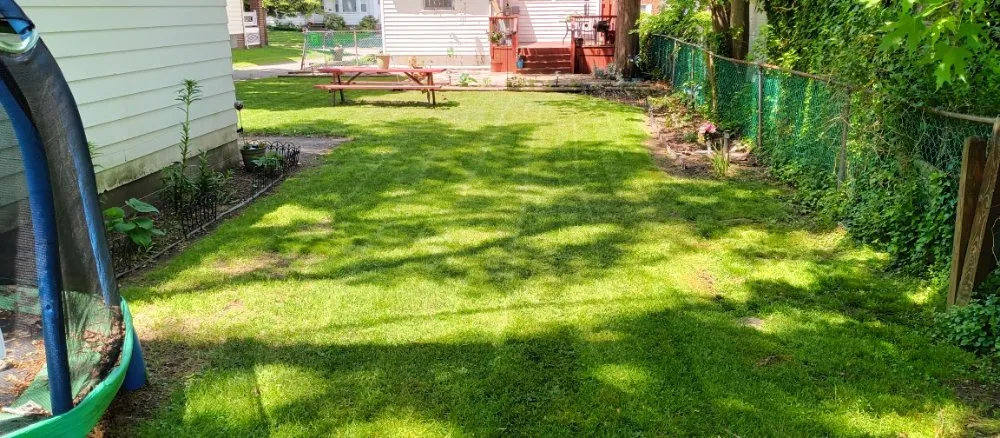 Trusted lawn mowing service in Cleveland, OH - Nappier and Sons Lawncare