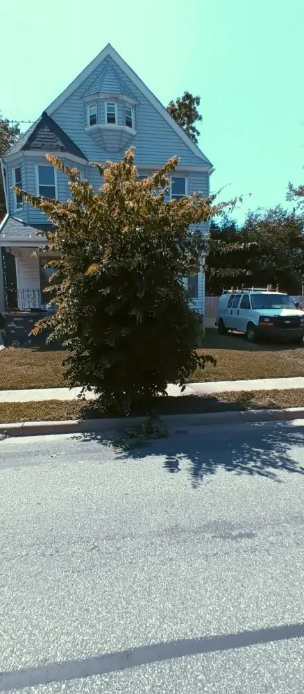 Local lawn care service for outdoor upgrades in Cleveland, OH by Nappier and Sons Lawncare