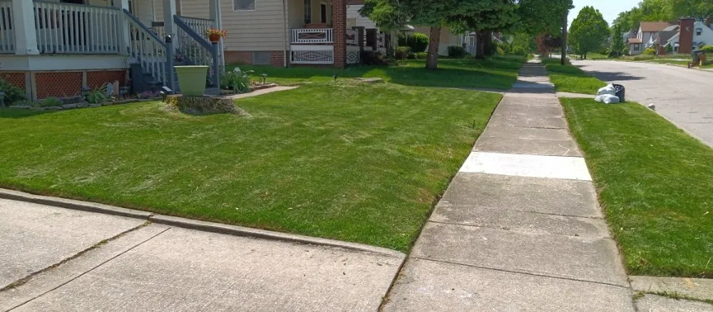 Top-rated landscaping services near you in Cleveland, OH by Nappier and Sons Lawncare