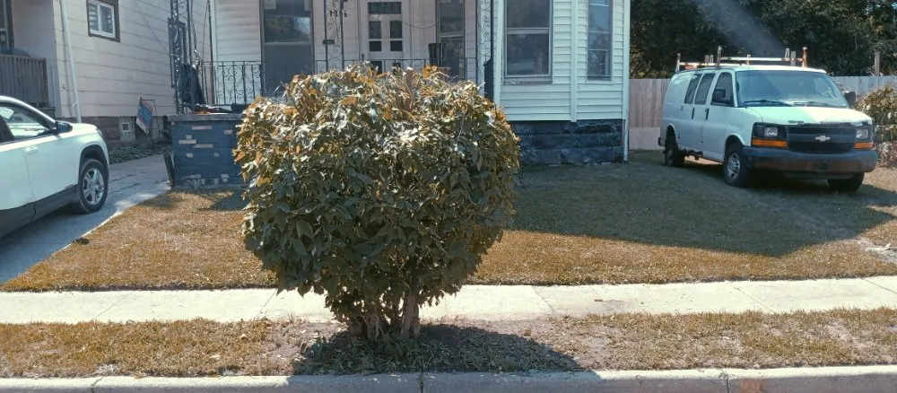 Trusted yard maintenance with custom design in Cleveland, OH by Nappier and Sons Lawncare