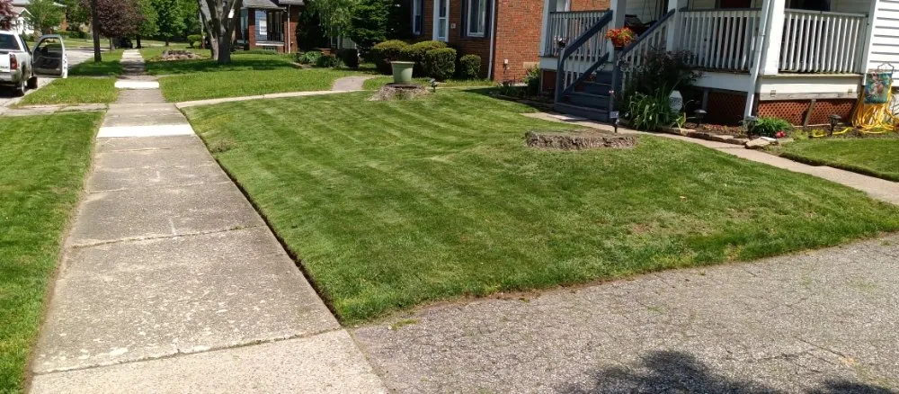 Reliable landscaping services in Cleveland, OH by Nappier and Sons Lawncare