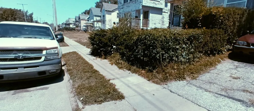 Professional landscape design for beautiful yards in Cleveland, OH by Nappier and Sons Lawncare