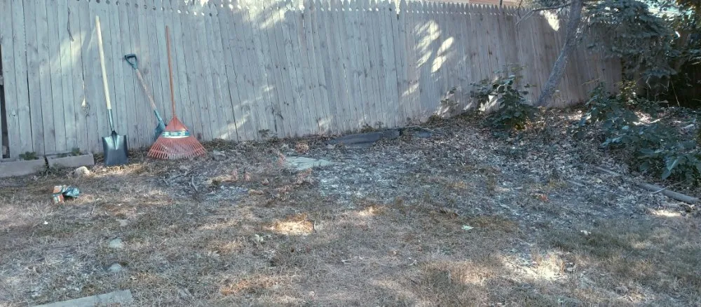 Top-rated lawn care service near you across Cleveland, OH - Nappier and Sons Lawncare