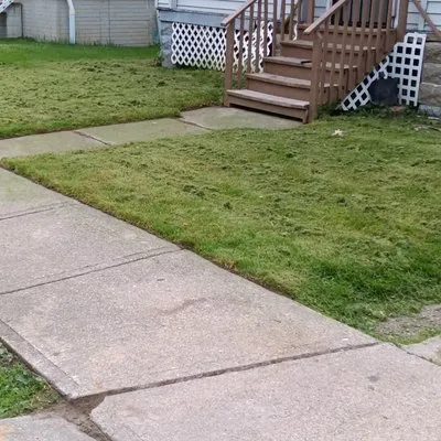 Nappier and Sons Lawncare Logo