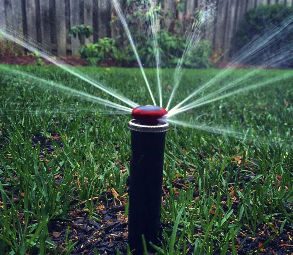 Professional yard cleanup service experts serving Spring Valley, CA - Napson Landscaping