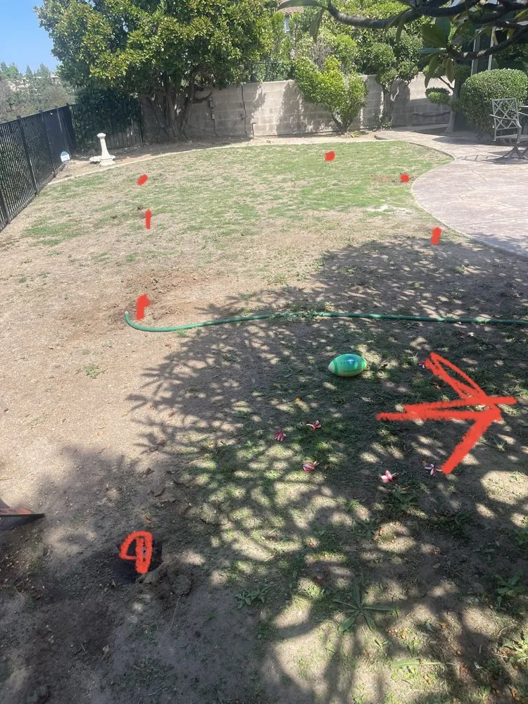 Local garden landscaping for year-round maintenance across Spring Valley, CA - Napson Landscaping