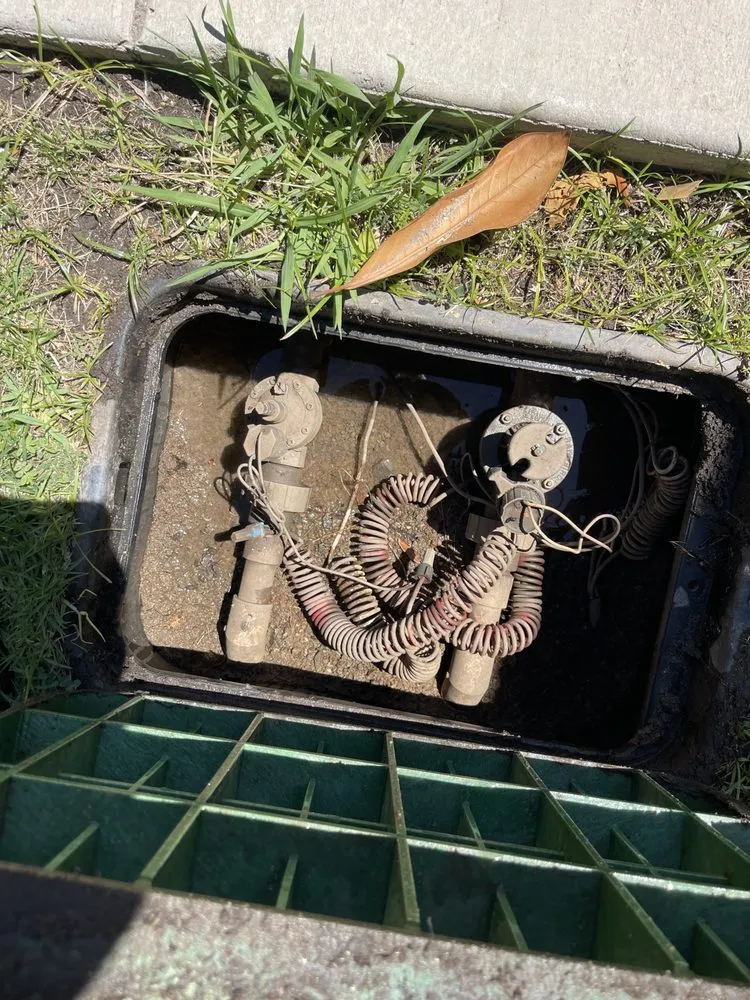 Reliable lawn mowing service for year-round maintenance across Spring Valley, CA - Napson Landscaping