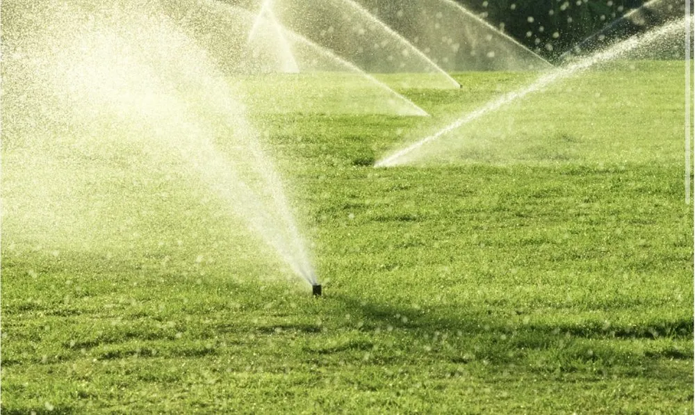 Reliable outdoor landscaping in Spring Valley, CA - Napson Landscaping