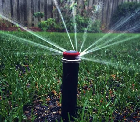 Napson Landscaping Logo