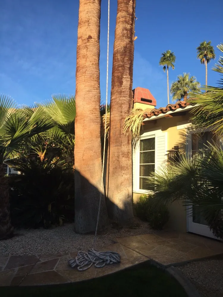 Expert landscape design in Cathedral City, CA - Naranjo Tree Service & Landscape Services