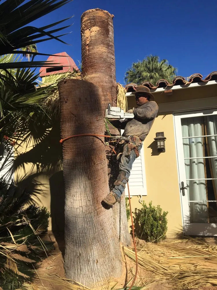 Custom landscape design in Cathedral City, CA by Naranjo Tree Service & Landscape Services