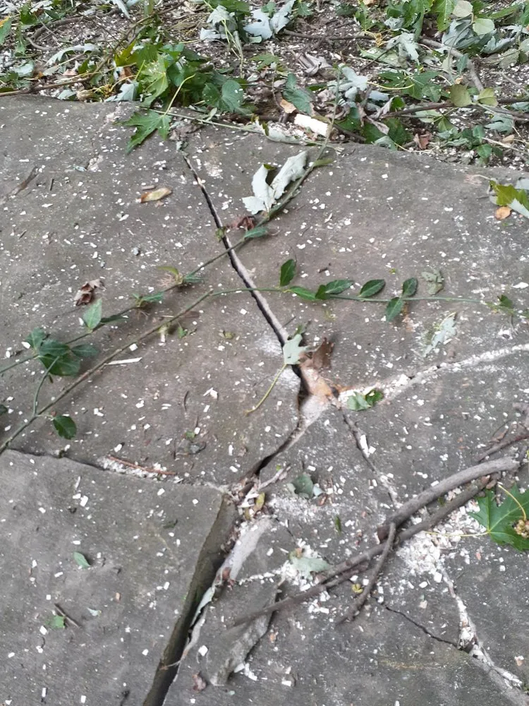 Affordable landscape design for homes across Saint Clairsville, OH - Nardo's Diamond Cut Lawn Care & Landscaping