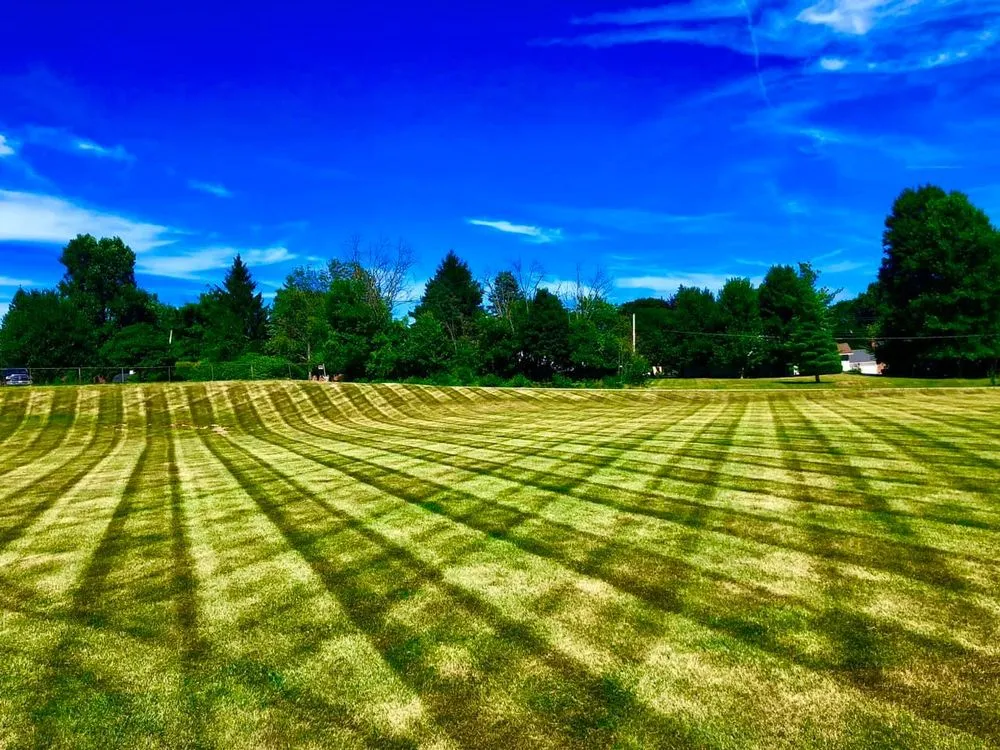 Affordable landscape design for year-round maintenance in Ashland, OH by Nardo's Landscaping Solutions