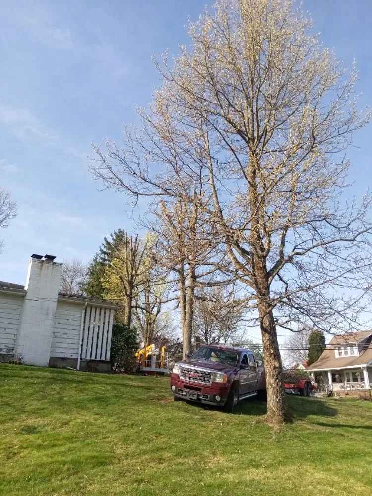 Local landscape installation with custom design across Bethesda, OH - Nardos lawncare and landscape