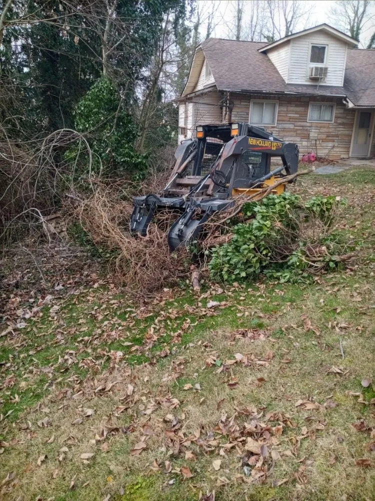 Reliable garden landscaping for year-round maintenance in Bethesda, OH by Nardos lawncare and landscape