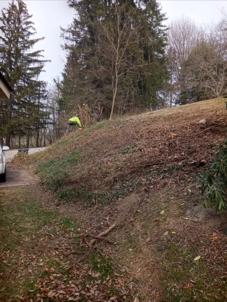 Professional outdoor landscaping experts serving Bethesda, OH - Nardos lawncare and landscape