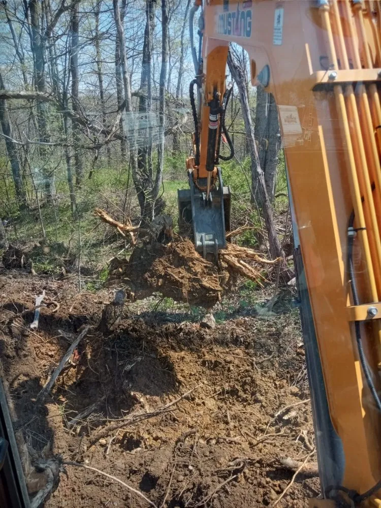 Trusted outdoor landscaping near you across Bethesda, OH - Nardos lawncare and landscape