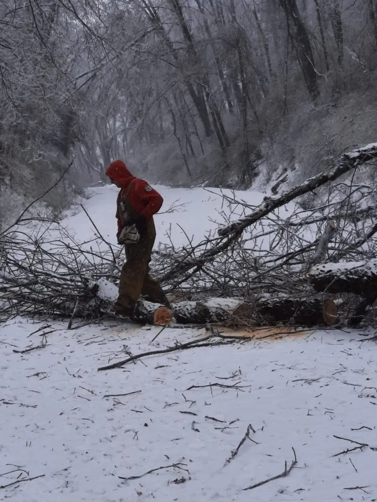 Expert lawn mowing service for year-round maintenance across Bethesda, OH - Nardos lawncare and landscape