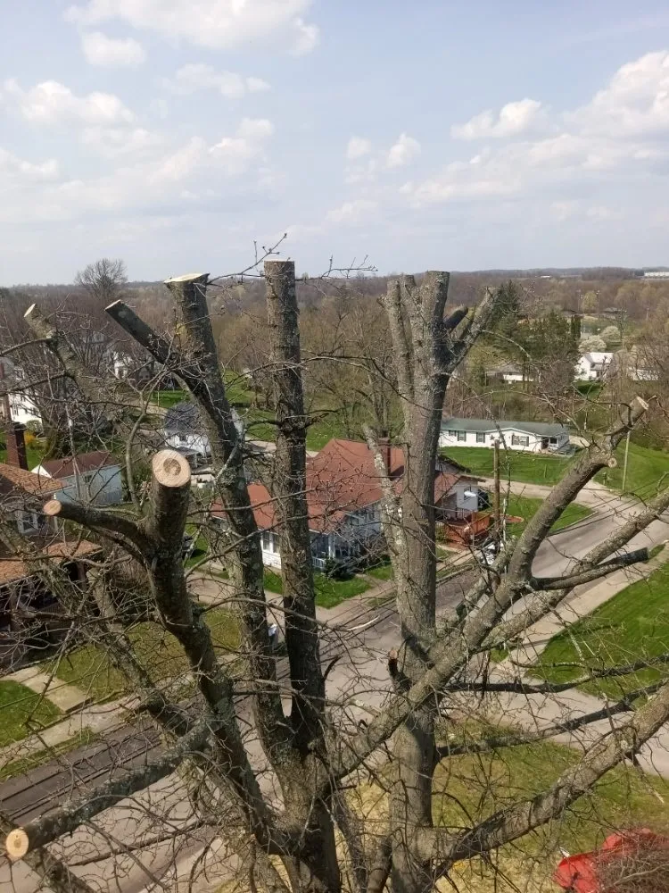 Top-rated outdoor landscaping for homes across Bethesda, OH - Nardos lawncare and landscape