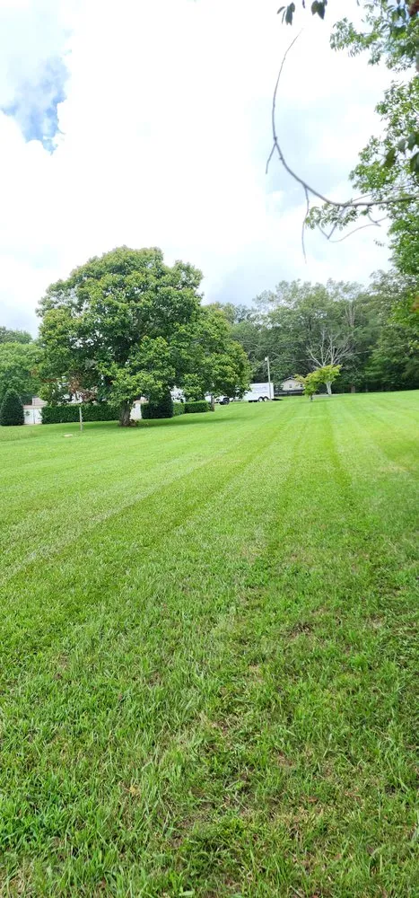 Reliable residential landscaping in McMinnville, TN - Narrow Path Lawn Care