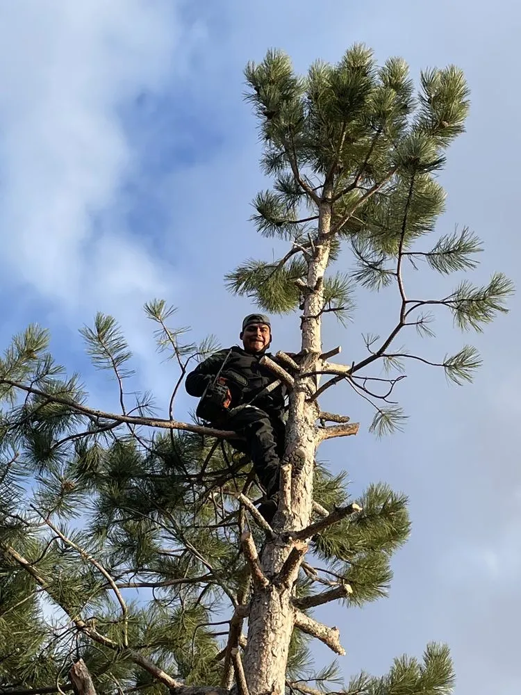 Professional landscape design in Ogden, UT - Narrowleaf Landscapes