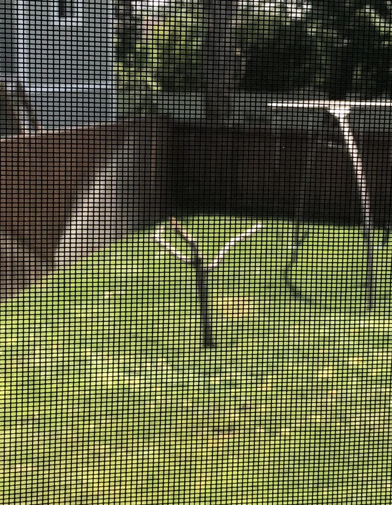 Local landscape installation in Ogden, UT by Narrowleaf Landscapes