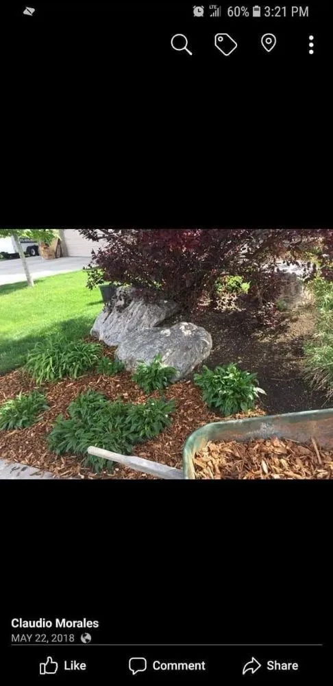 Affordable lawn care service near you in Ogden, UT by Narrowleaf Landscapes