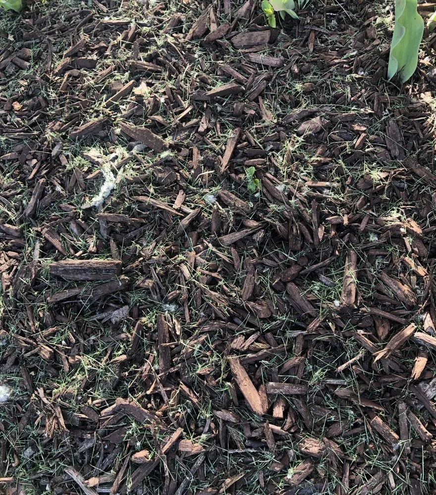 Custom landscape design near you in Ogden, UT by Narrowleaf Landscapes