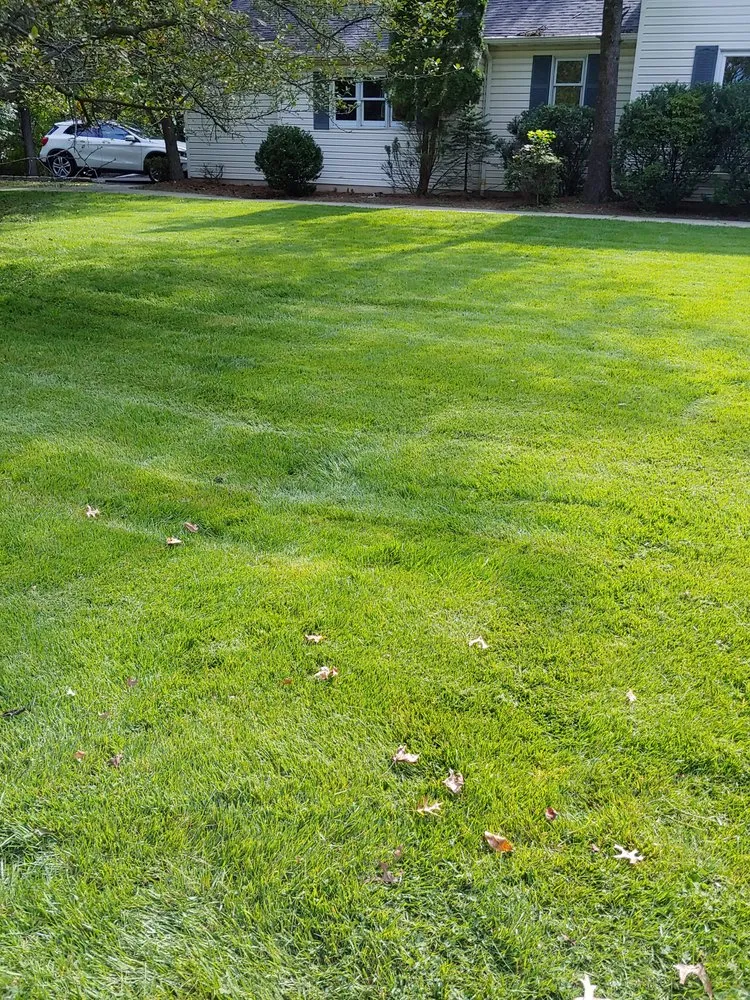 Custom outdoor landscaping for homes across New Brunswick, NJ - Narvaez Clean Cut