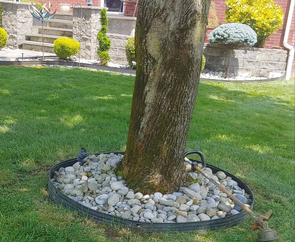 Affordable yard cleanup service for residential properties in New Brunswick, NJ by Narvaez Clean Cut