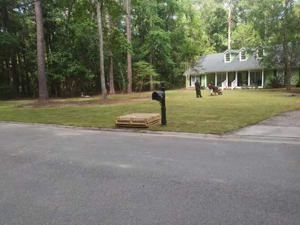 Professional yard cleanup service experts serving Tacoma, WA - NAS Cut Landscaping