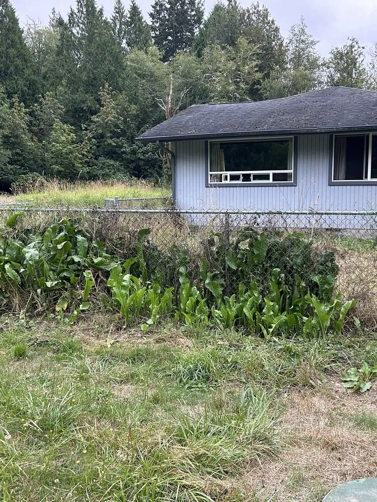 Local landscaping services in Tacoma, WA by NAS Cut Landscaping