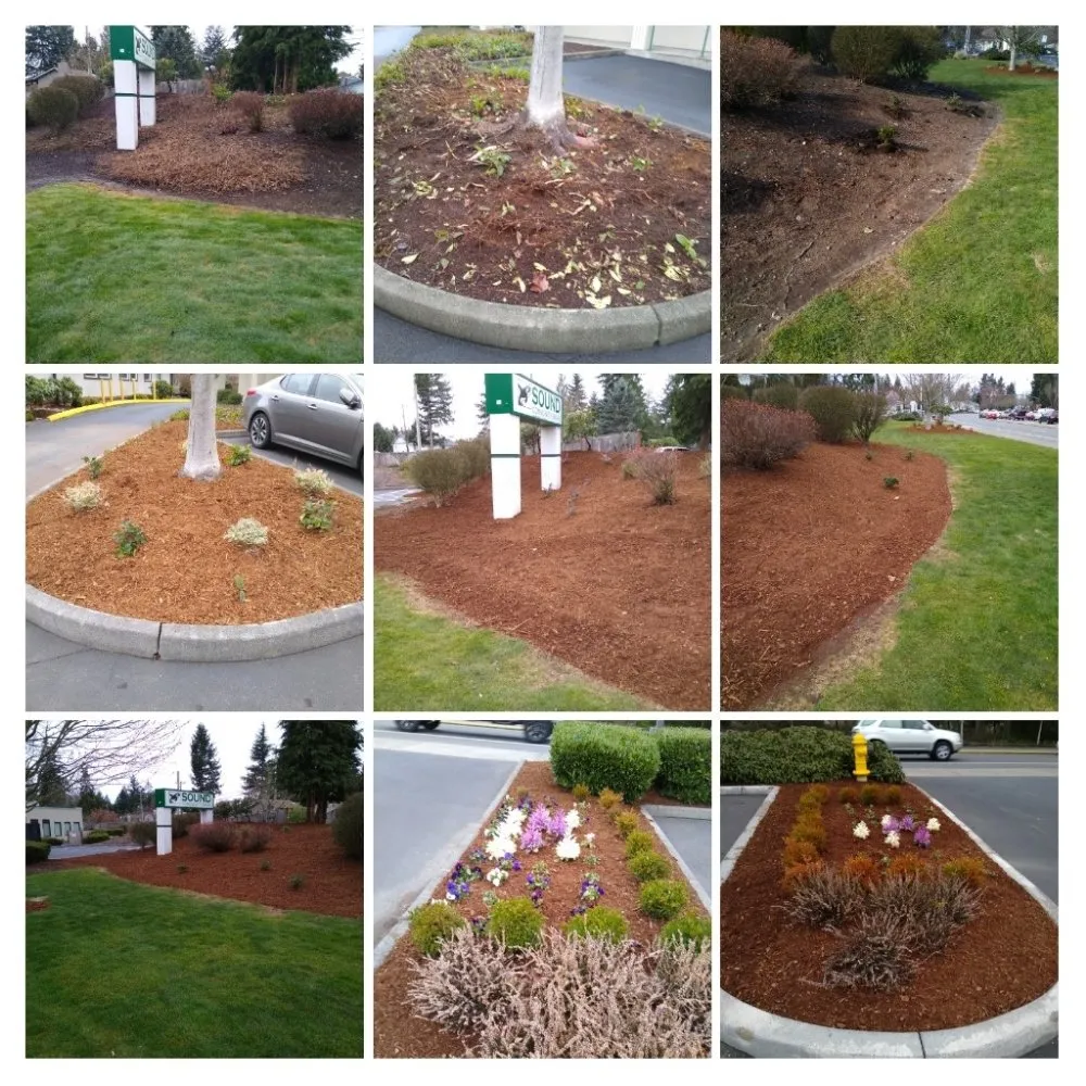 Top-rated yard maintenance in Tacoma, WA - NAS Cut Landscaping