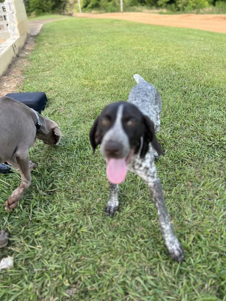 Affordable landscaping services experts serving Pontotoc, MS - Nas Lawn and Landscaping