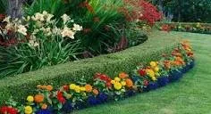 Custom yard maintenance in Pontotoc, MS by Nas Lawn and Landscaping