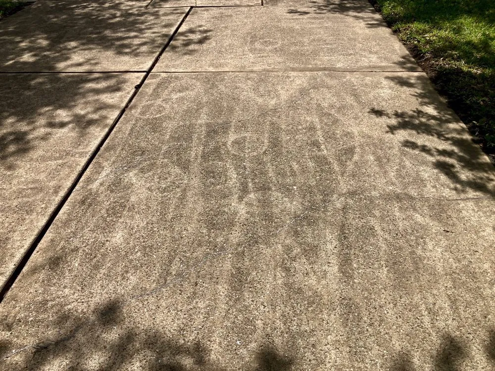 Professional landscape installation in Houston, TX - Nasario Lara