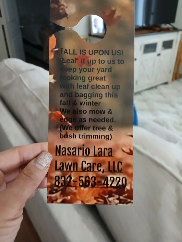 Custom residential landscaping in Houston, TX by Nasario Lara