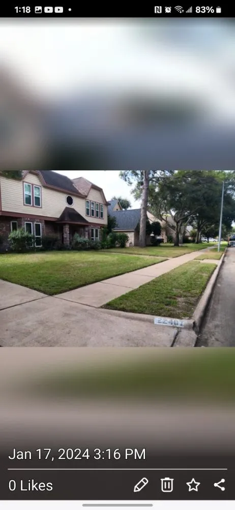 Affordable outdoor landscaping in Houston, TX - Nasario Lara