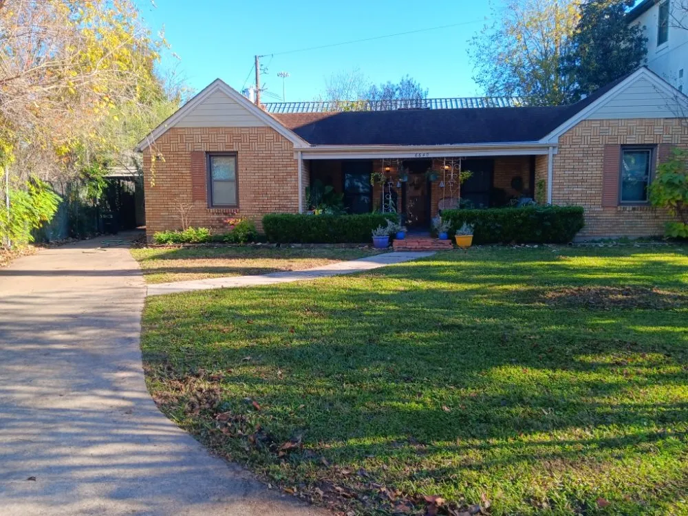 Top-rated landscaping services in Houston, TX - Nasario Lara